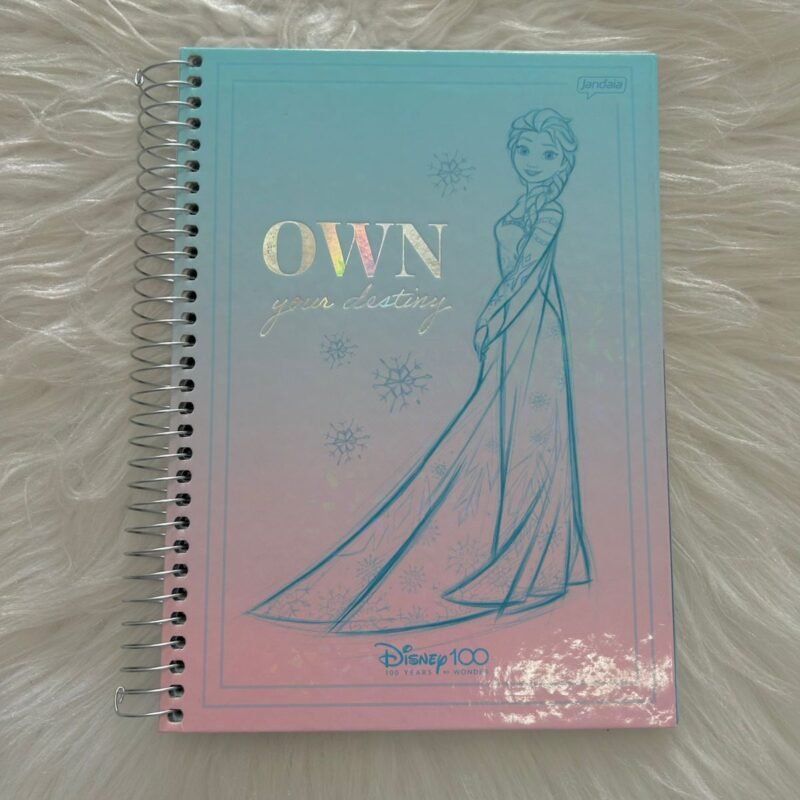 Caderno Colegial Disney 100 - Jandaia
